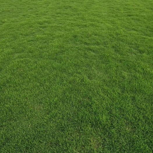 望谟县 场地直销大量供应商马尼拉草皮，带泥多，易活