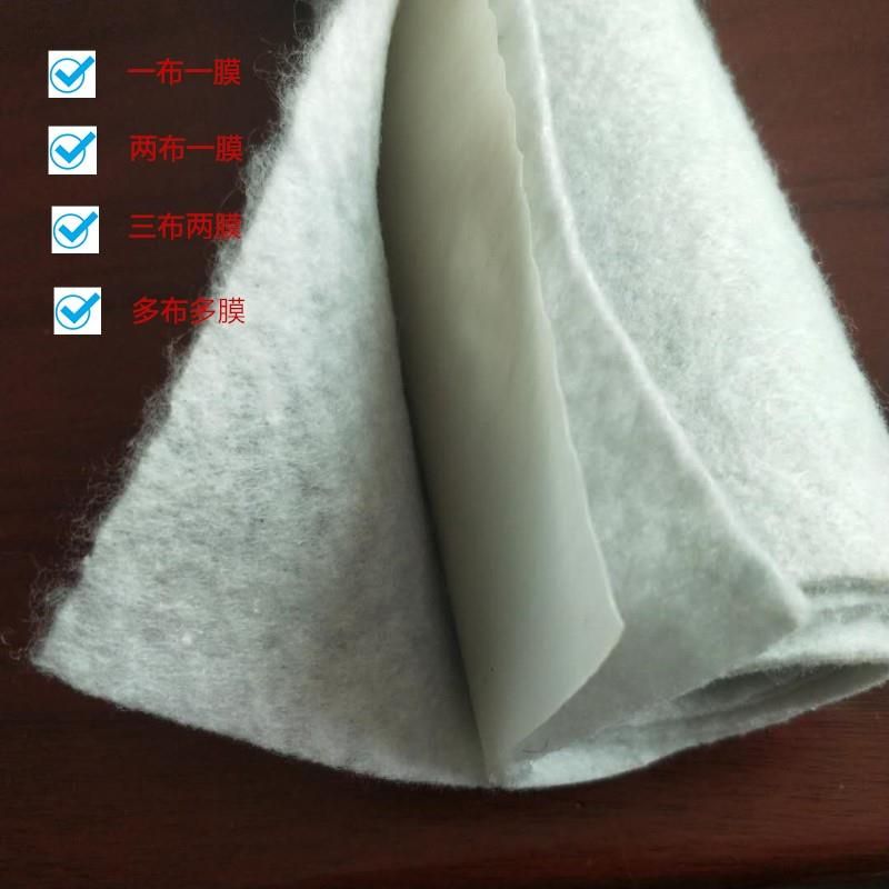 防渗膜 复合土工膜两布一膜一布一膜鱼塘人工湖河道蓄水复合防水布