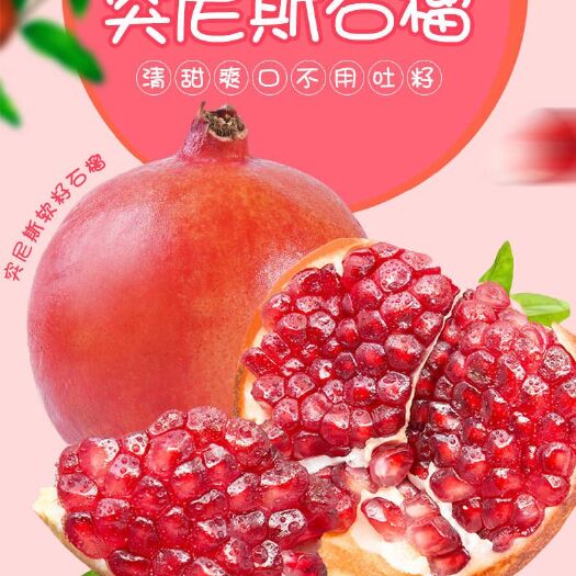 会理市 自家果园直销，会理县突尼斯软籽石榴
