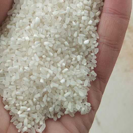 碎米 一等品 晚稻 籼米