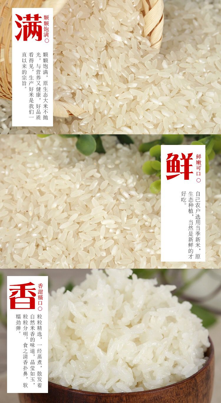  量大优惠  自家种植五常大米稻花香2号 非转基因 有机水稻米