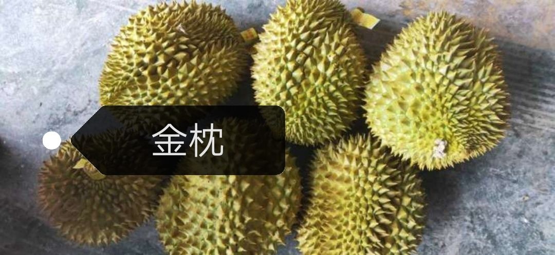 南宁 泰国金枕榴莲520元一件