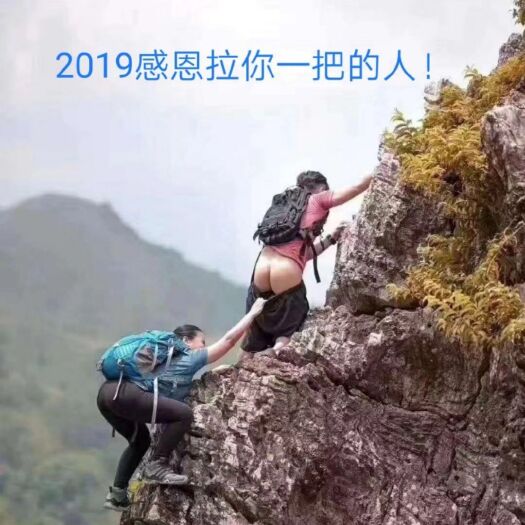 平阴县 鲜酸枣—酸枣仁