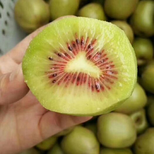  蒼溪紅心獼猴桃天然綠色食品無任何污染包郵