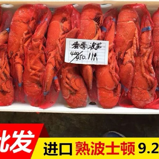 北京波士顿龙虾 批发熟波龙全国发货