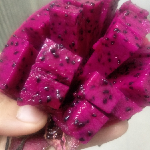 隆安县红皮红肉火龙果 小（5两以下）