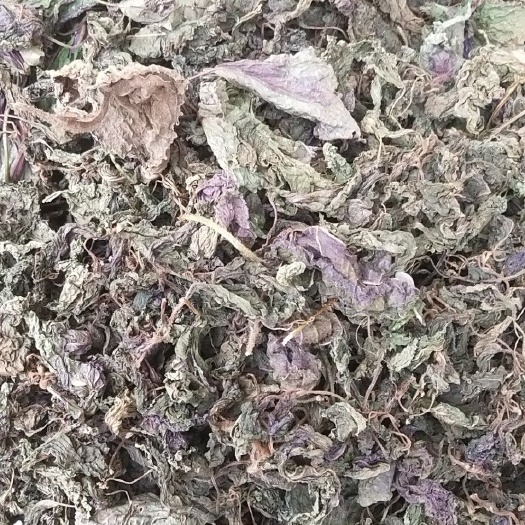广元 全手工紫苏叶，紫苏梗