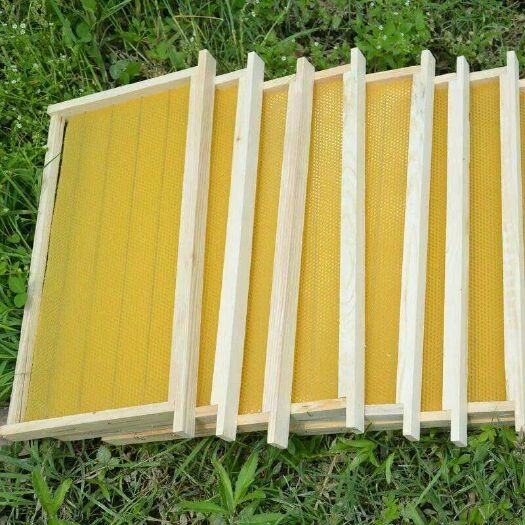 巢础  成品意蜂养蜂工具成品巢框建巢快深房片质量好。厂家直销