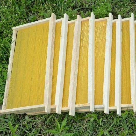 长葛市巢础  成品意蜂养蜂工具成品巢框建巢快深房片质量好。厂家直销