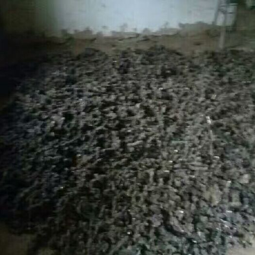 汉中 出售秦岭猪苓，