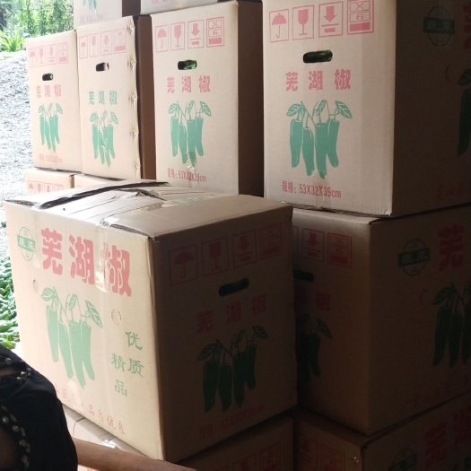 保康县 高山保康芜湖椒便宜