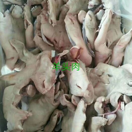 郑州白羊头肉批发