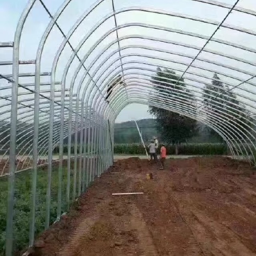 天津大棚管 种植棚  蔬菜 花卉种植 镀锌管 厂家直销