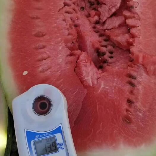 中宁县金城5号西瓜 宁夏硒沙瓜口感美美的质量美的得很孩子吃了考清华