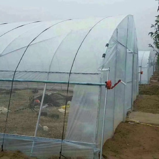 沭阳县种植大棚 蔬菜大棚
