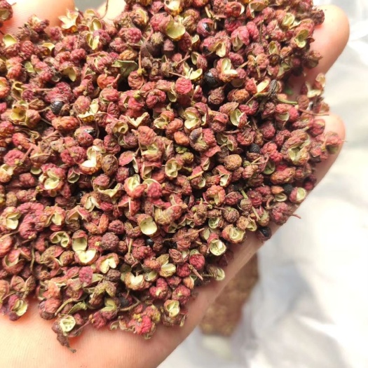 伊川县 大红袍花椒，色泽鲜艳，皮厚味麻，万亩花椒种植基地，