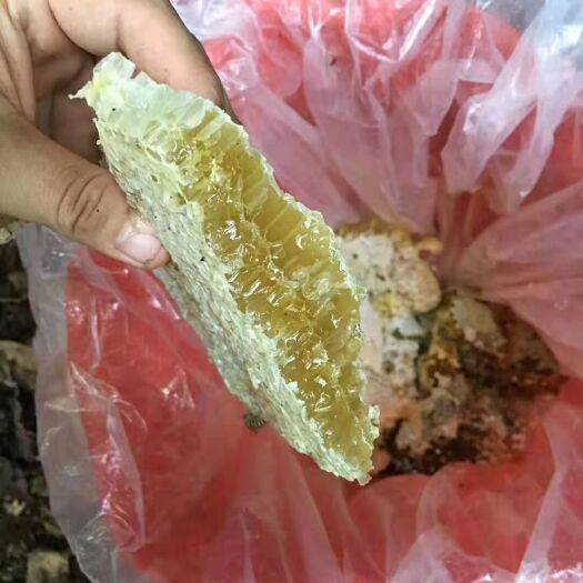 始兴县 瑶家野生蜂蜜