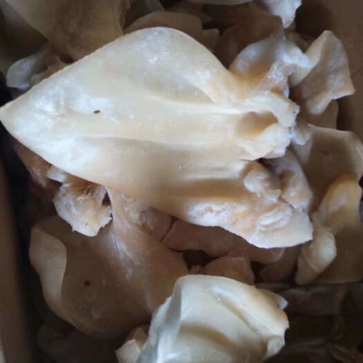 阳信县牛下水 全熟牛耳