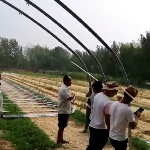 天津蔬菜大棚 生产设计一条龙服务。