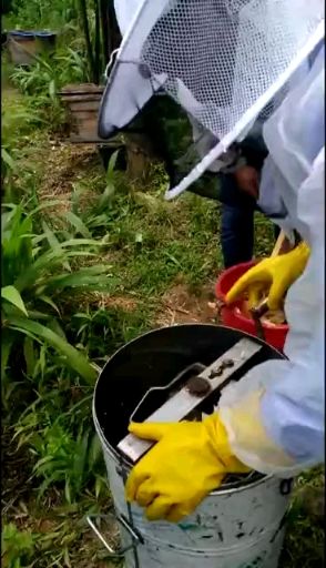 土蜂蜜 百花蜜天然純手工