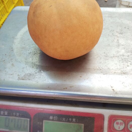 重庆市圆黄梨 75mm以上 300-350g