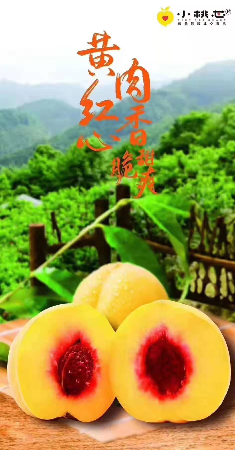  出售二级品炎陵黄桃