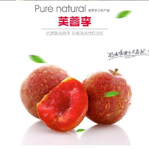 晋江市 【精选】新鲜福建芙蓉李红心李子5斤水果现摘现发包邮