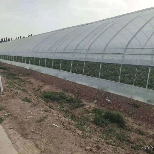 天津蔬菜大棚