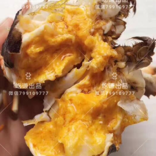 盘山县 盘锦河蟹批发