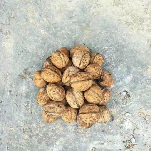 盐源县 核桃 7/斤