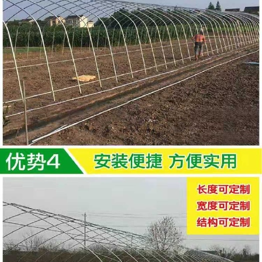 沭阳县蔬菜大棚 大棚配件