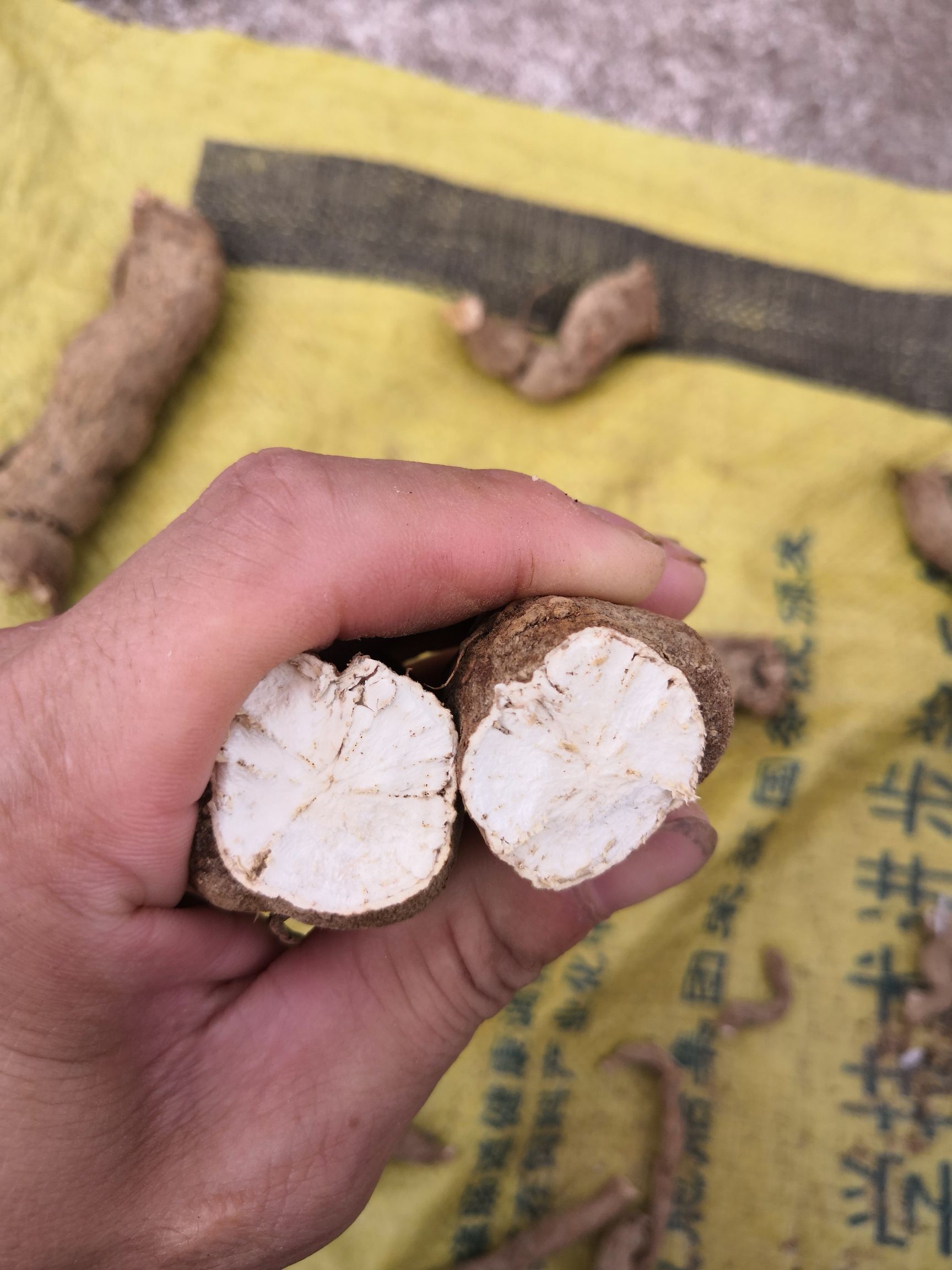 防己 ，江西货，广东货