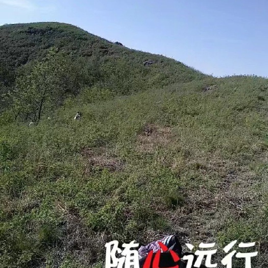 荒地 荒山出租，可养殖 可开发 地域广