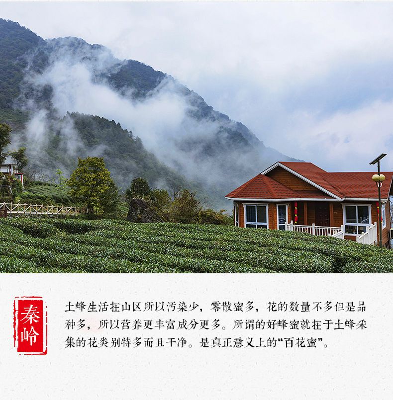  秦岭蜂蜜纯正农家自产土蜂蜜结晶原蜜百花蜜500