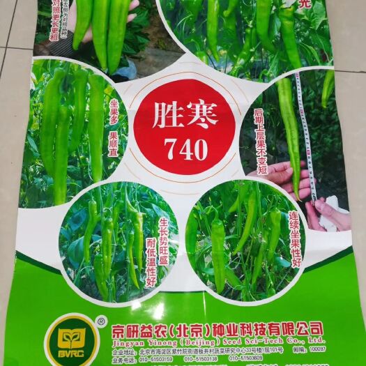 海城市薄皮麻辣 麻辣苗子有多余