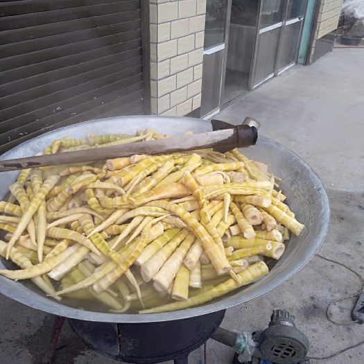 桐梓縣勃氏甜龍竹筍 桐梓特產(chǎn)咸干筍