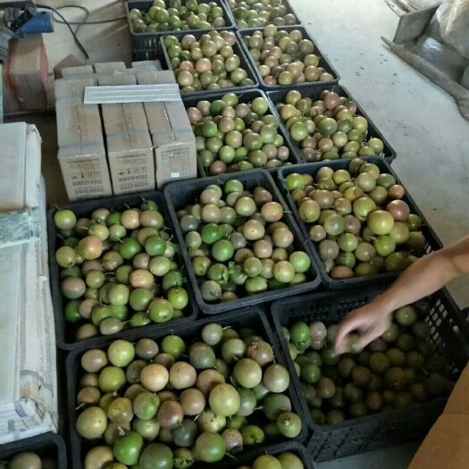 兴安县 你好，我是桂林的，我们这边有百香果一手货源