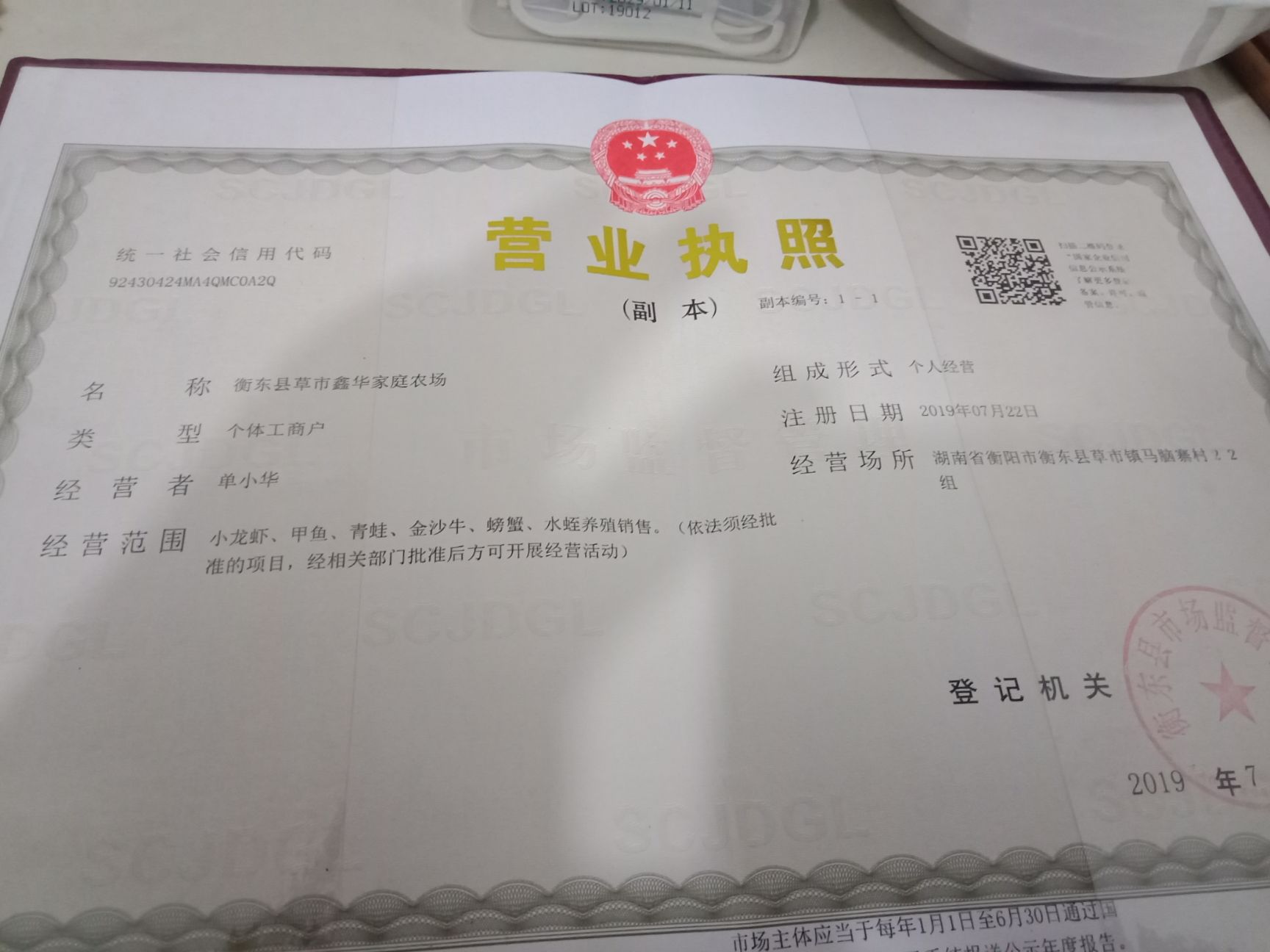 金沙牛 