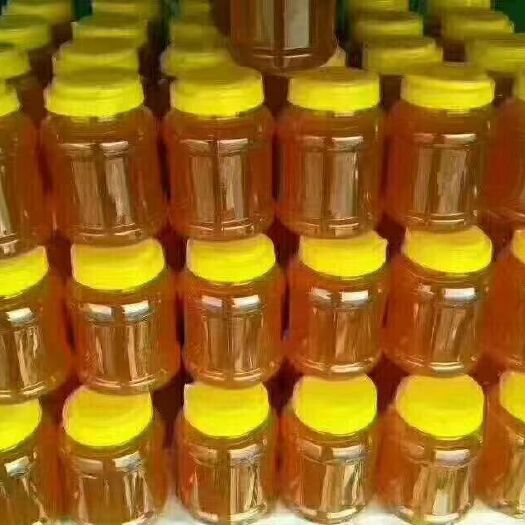 汤旺县黑蜂蜂蜜 塑料瓶装 2年以上 98%