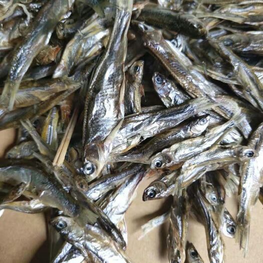 都昌县 鄱阳湖淡水小鱼干小杂鱼生晒无盐不开肚小鱼干淡鱼干