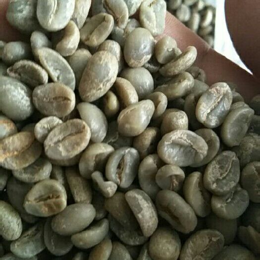 思茅普洱小粒咖啡豆 左手咖啡右手茶，妙曼普洱遍地花!良心农特产需要什么你选!