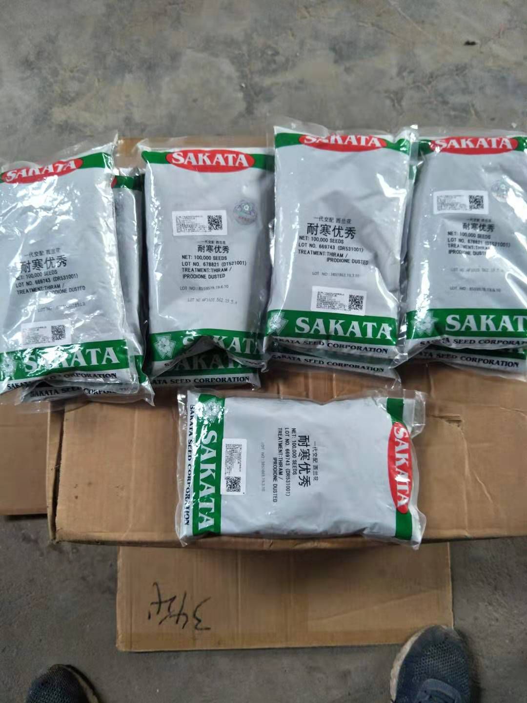 耐寒优秀西兰花种子 耐寒优秀