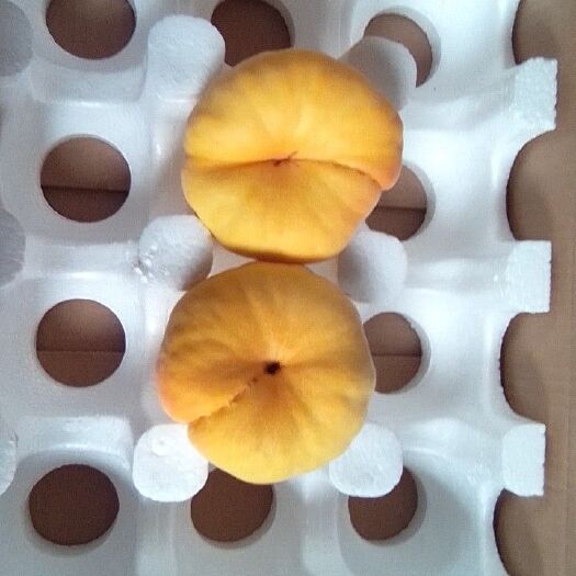蒙阴县玉露蟠桃 3-5两