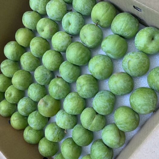 茂县 甘甜香脆的李子