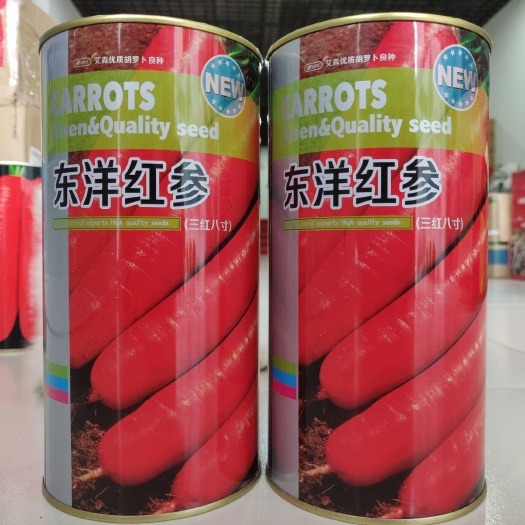 睢宁县 胡萝卜种子东洋红参八寸胡萝卜三红八寸参基地品质