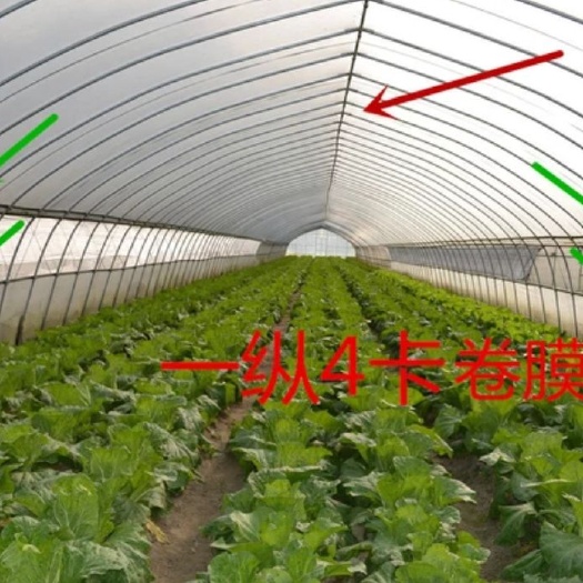 沭阳县 蔬菜大棚