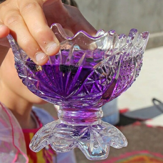 黑枸杞能解决的问题以及原理