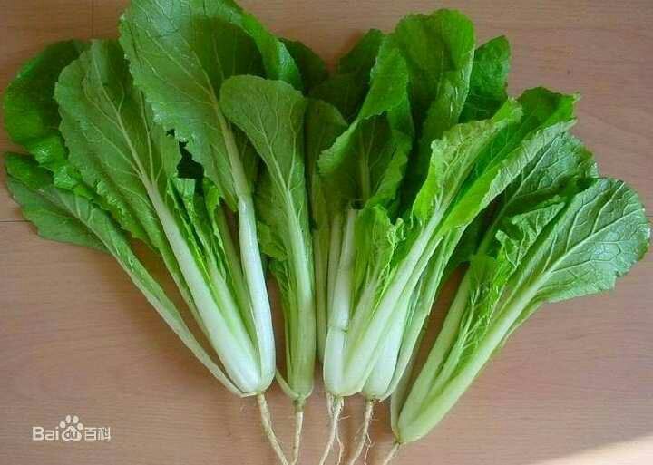  小白菜，奶白菜，快菜，黄白