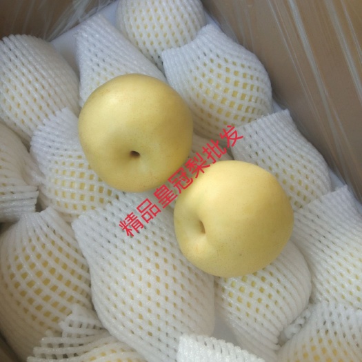 赵县皇冠梨 精品皇冠产地直销