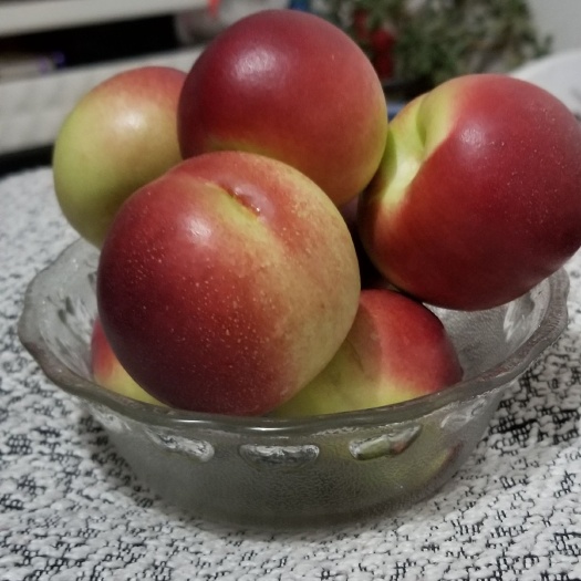 袖珍油桃5珍珠枣油桃一件代发平台对接微商5斤包邮
